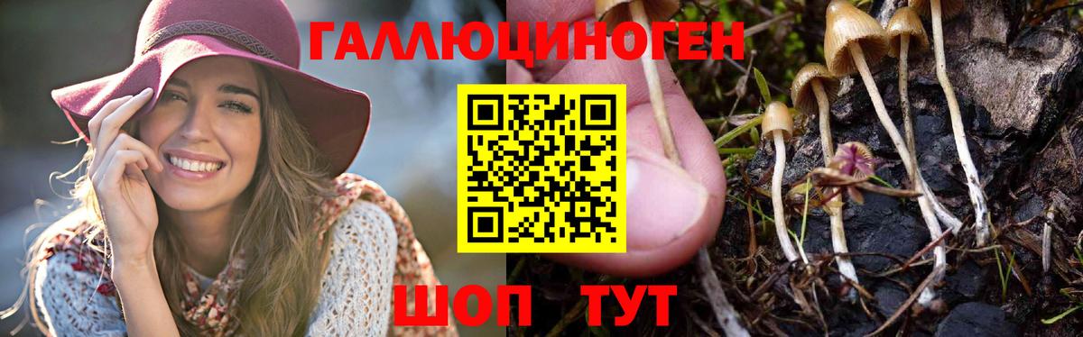 как найти закладки  Минеральные Воды  Галлюциногенные грибы MAGIC MUSHROOMS 