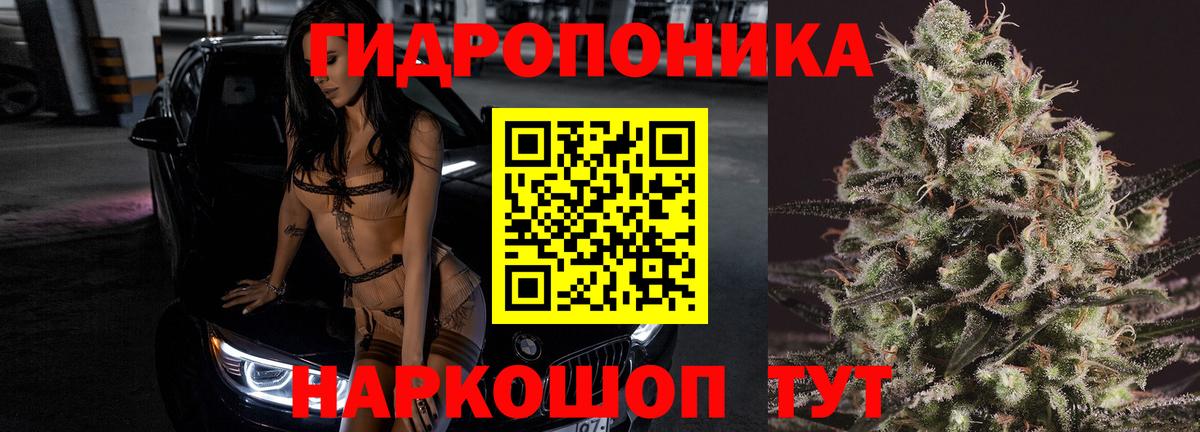 Бошки Шишки THC 21%  Каннабис сатива  Минеральные Воды 